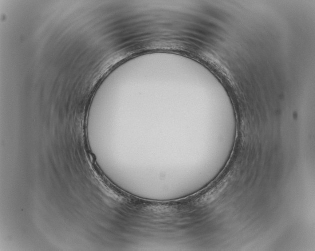 X0000089401033200707061223