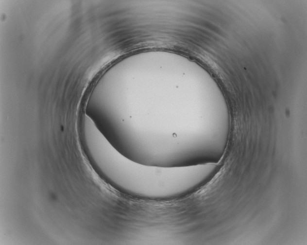 X0000089401034200707061223