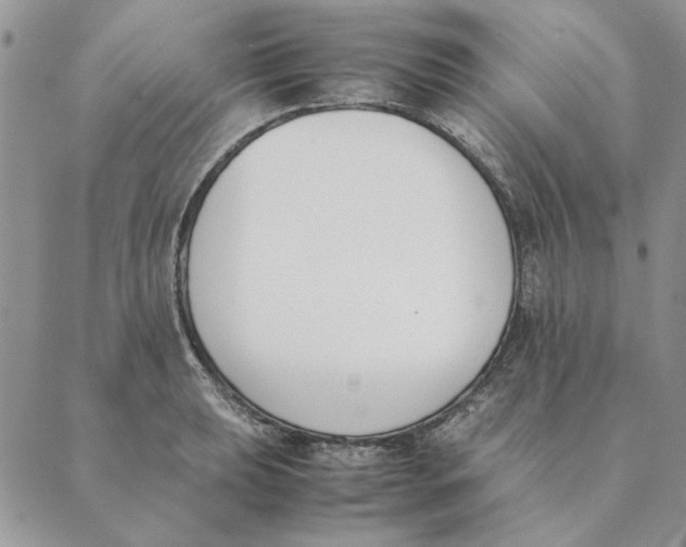 X0000089401039200707061223