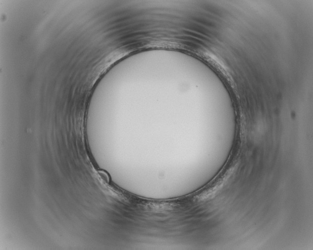 X0000089401041200707061223