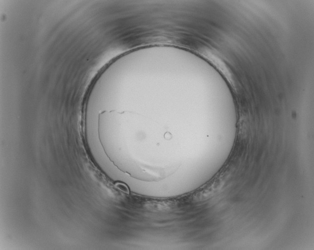 X0000089401051200707061224