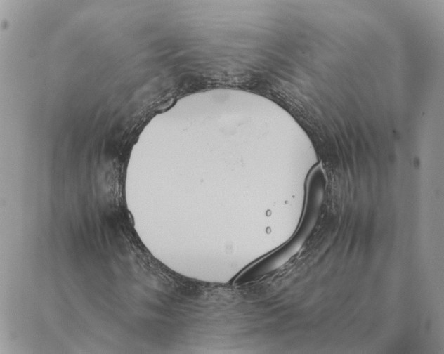 X0000089401058200707061223