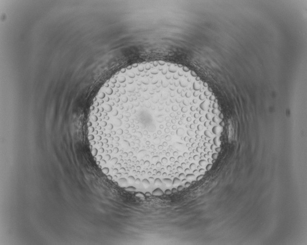 X0000089401059200707061223