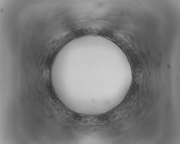 X0000089401061200707061223