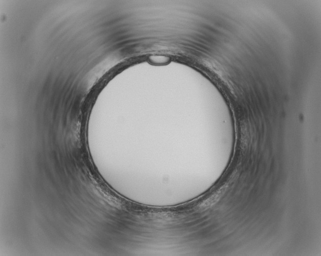 X0000089401066200707061223