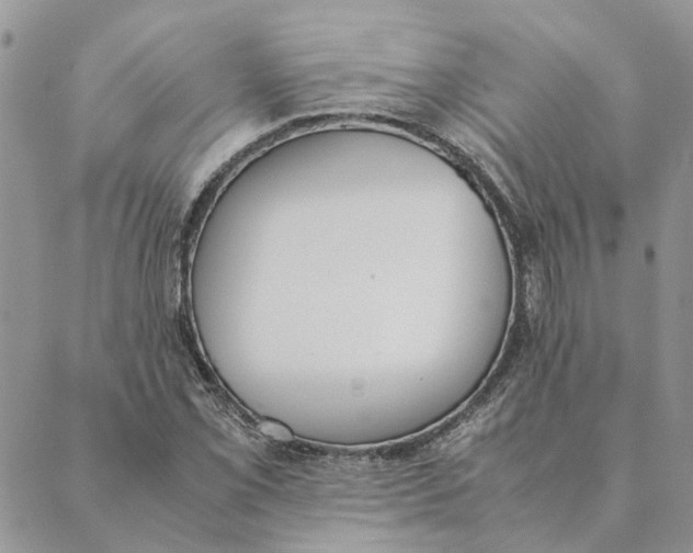 X0000089401069200707061223