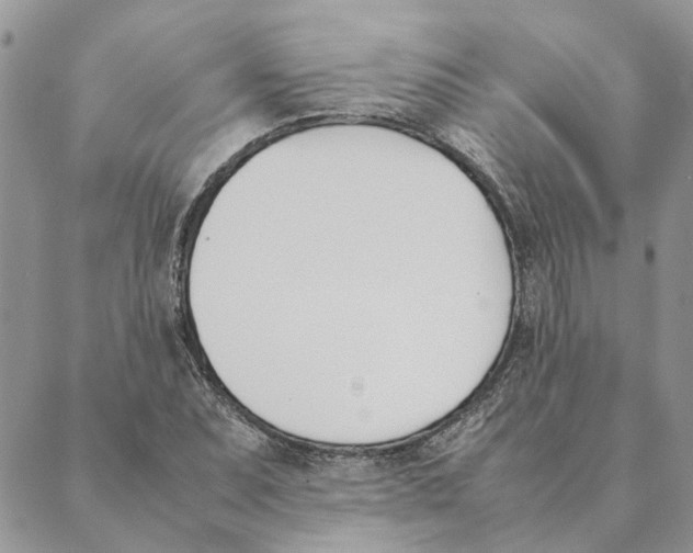 X0000089401071200707061223