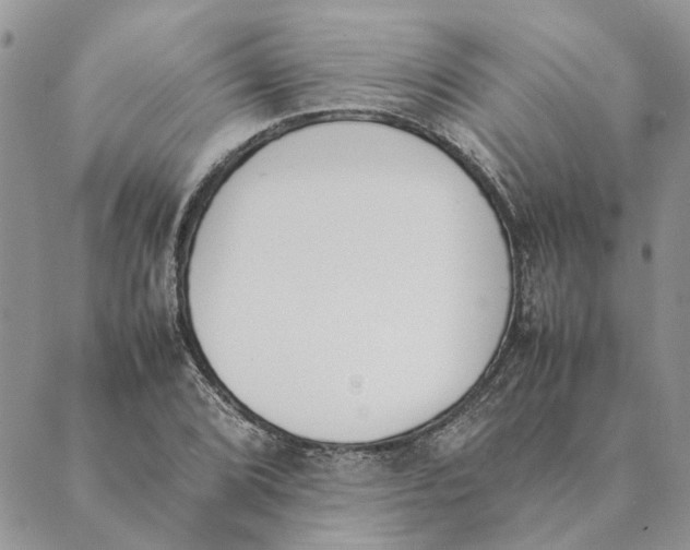 X0000089401072200707061223