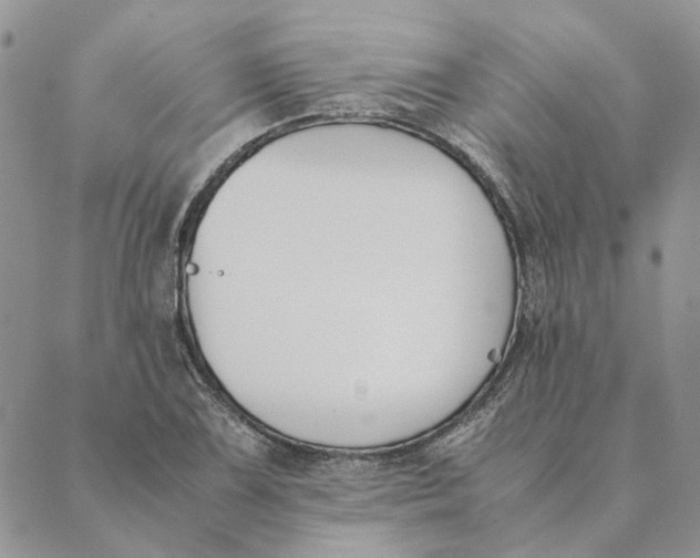 X0000089401075200707061223