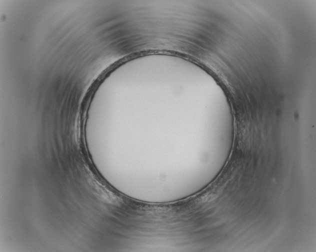 X0000089401076200707061223