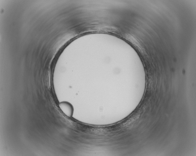 X0000089401079200707061223