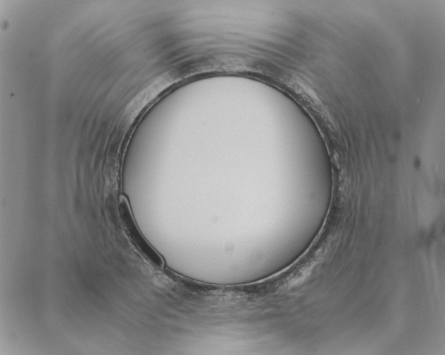 X0000089401081200707061223