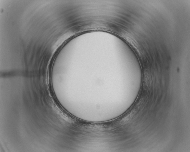 X0000089401082200707061223