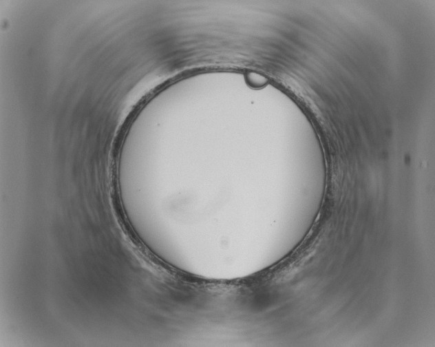 X0000089401085200707061222