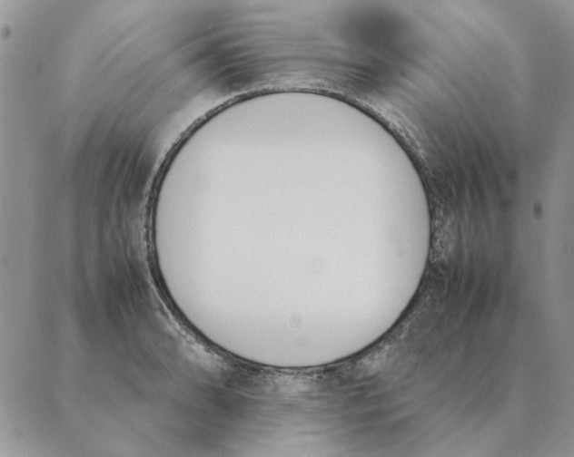 X0000089401086200707061222