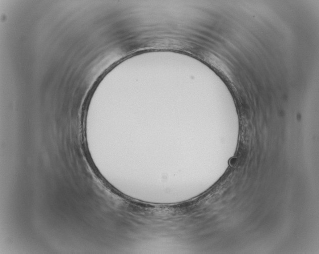 X0000089401087200707061222