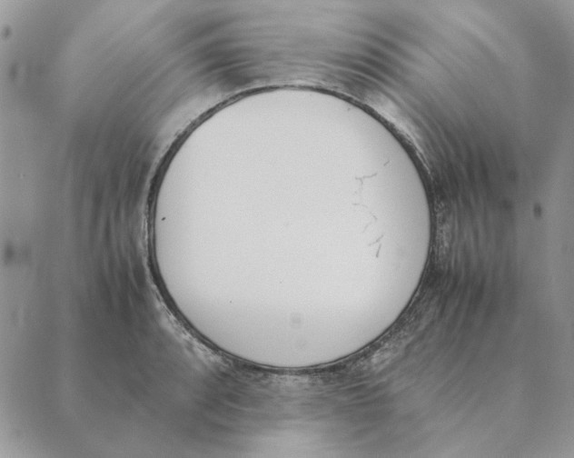 X0000089401088200707061222