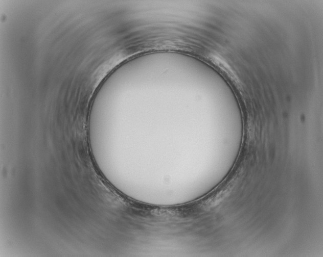 X0000089401089200707061222