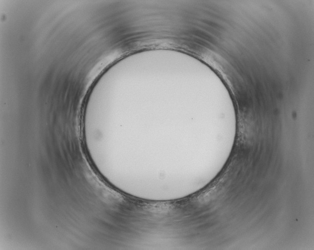 X0000089401090200707061222