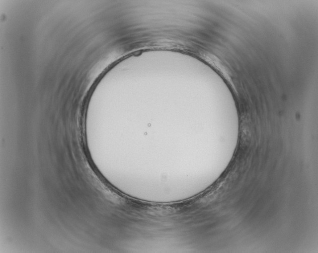 X0000089401091200707061222