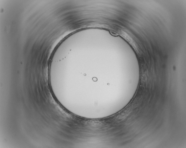 X0000089401092200707061222