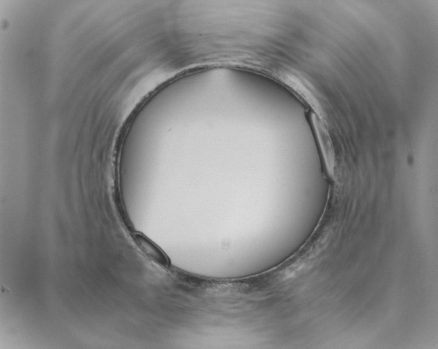 X0000089401093200707061222