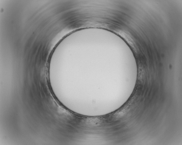 X0000089401094200707061222