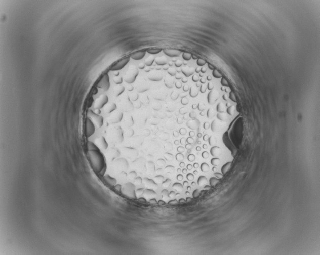 X0000089401095200707061222