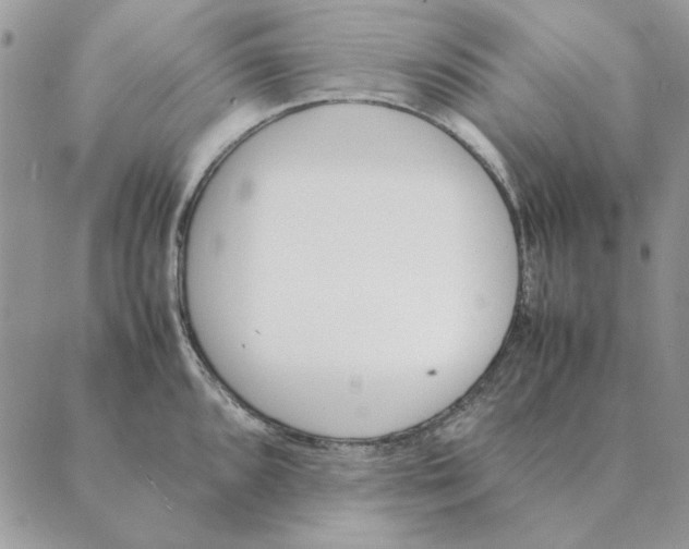 X0000089401096200707061222