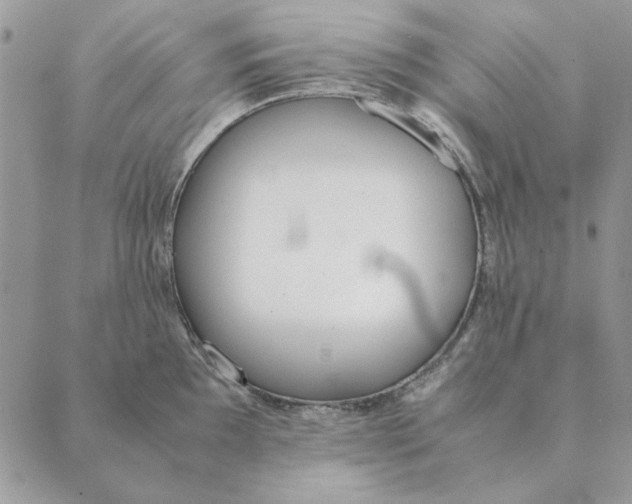 X0000089401097200707061222