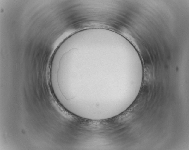 X0000089401098200707061222