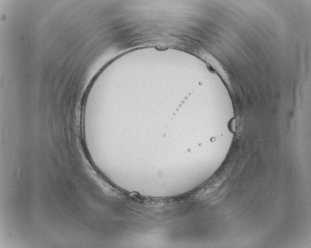 X0000089401099200707061222