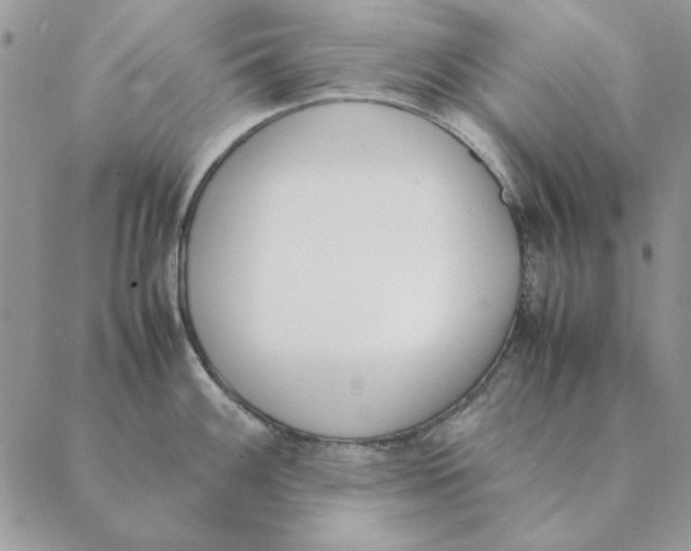 X0000089401100200707061222