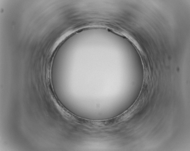 X0000089401101200707061222