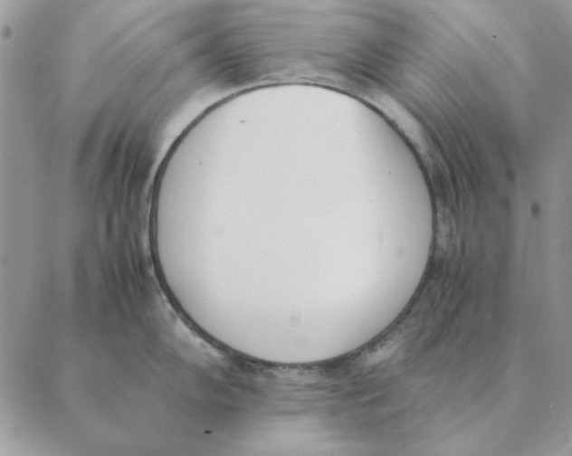 X0000089401102200707061222