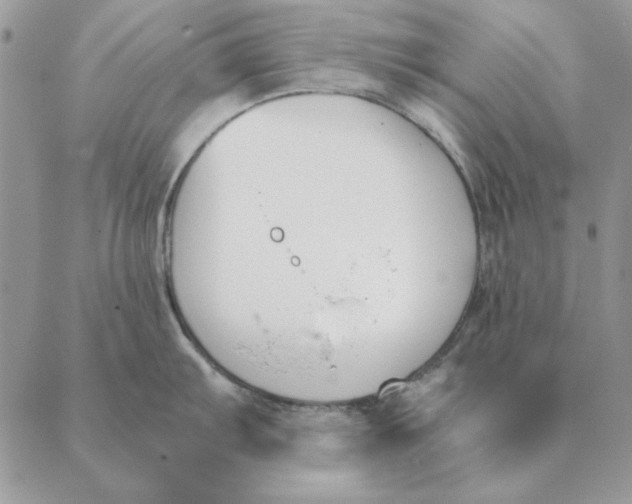 X0000089401103200707061222