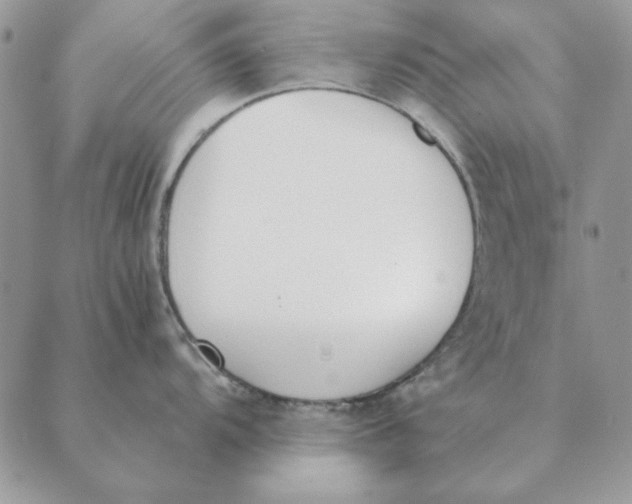 X0000089401104200707061222