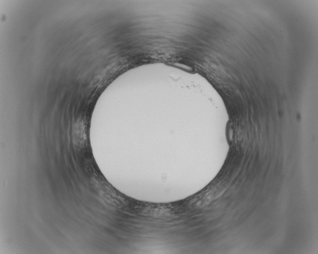 X0000089401106200707061221