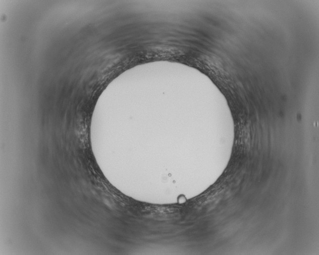 X0000089401109200707061221