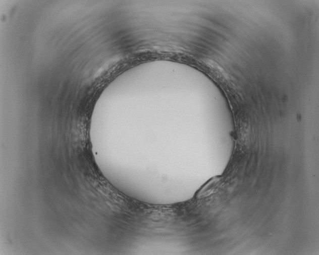 X0000089401110200707061221