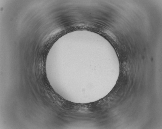 X0000089401111200707061222