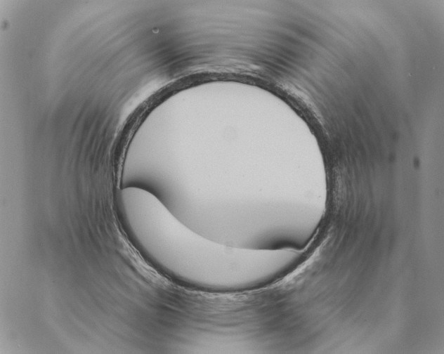 X0000089401114200707061222