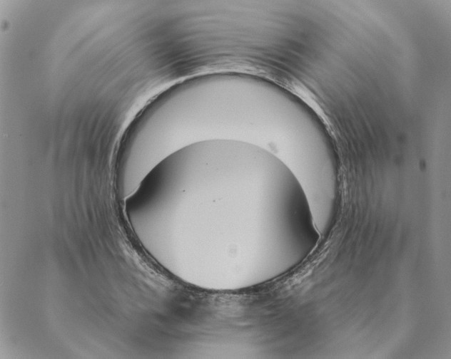 X0000089401116200707061222