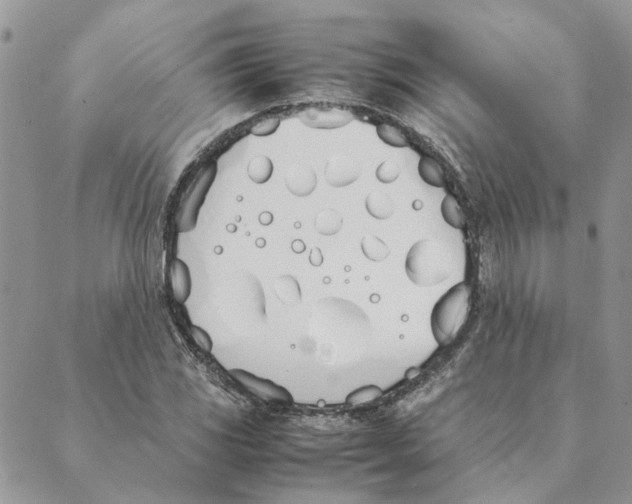 X0000089401117200707061222