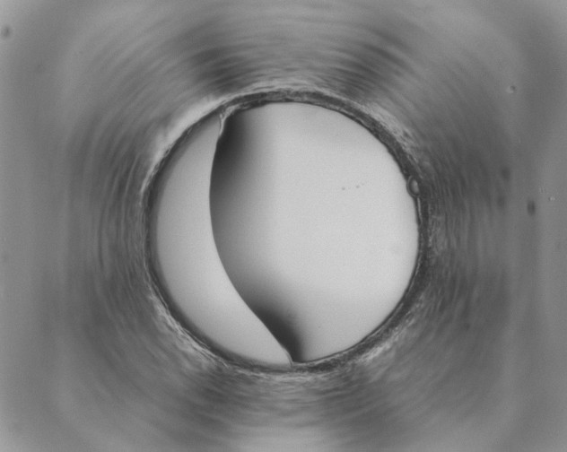 X0000089401118200707061222