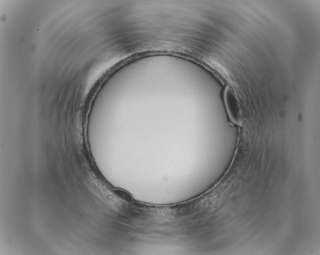 X0000089401120200707061222