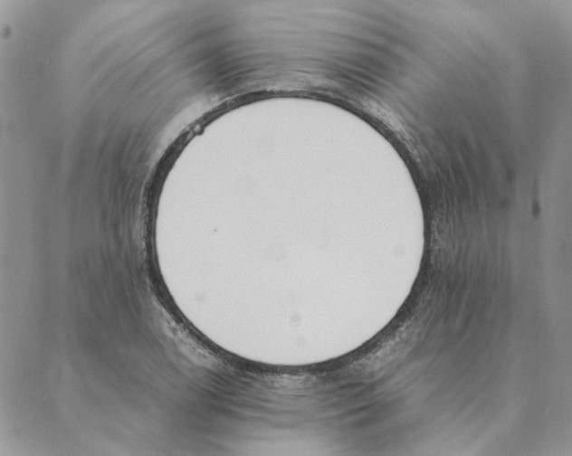 X0000089401122200707061222