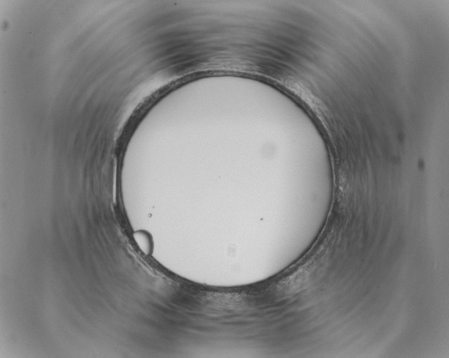 X0000089401123200707061222