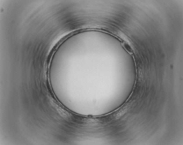 X0000089401124200707061222