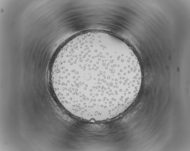 X0000089401125200707061222